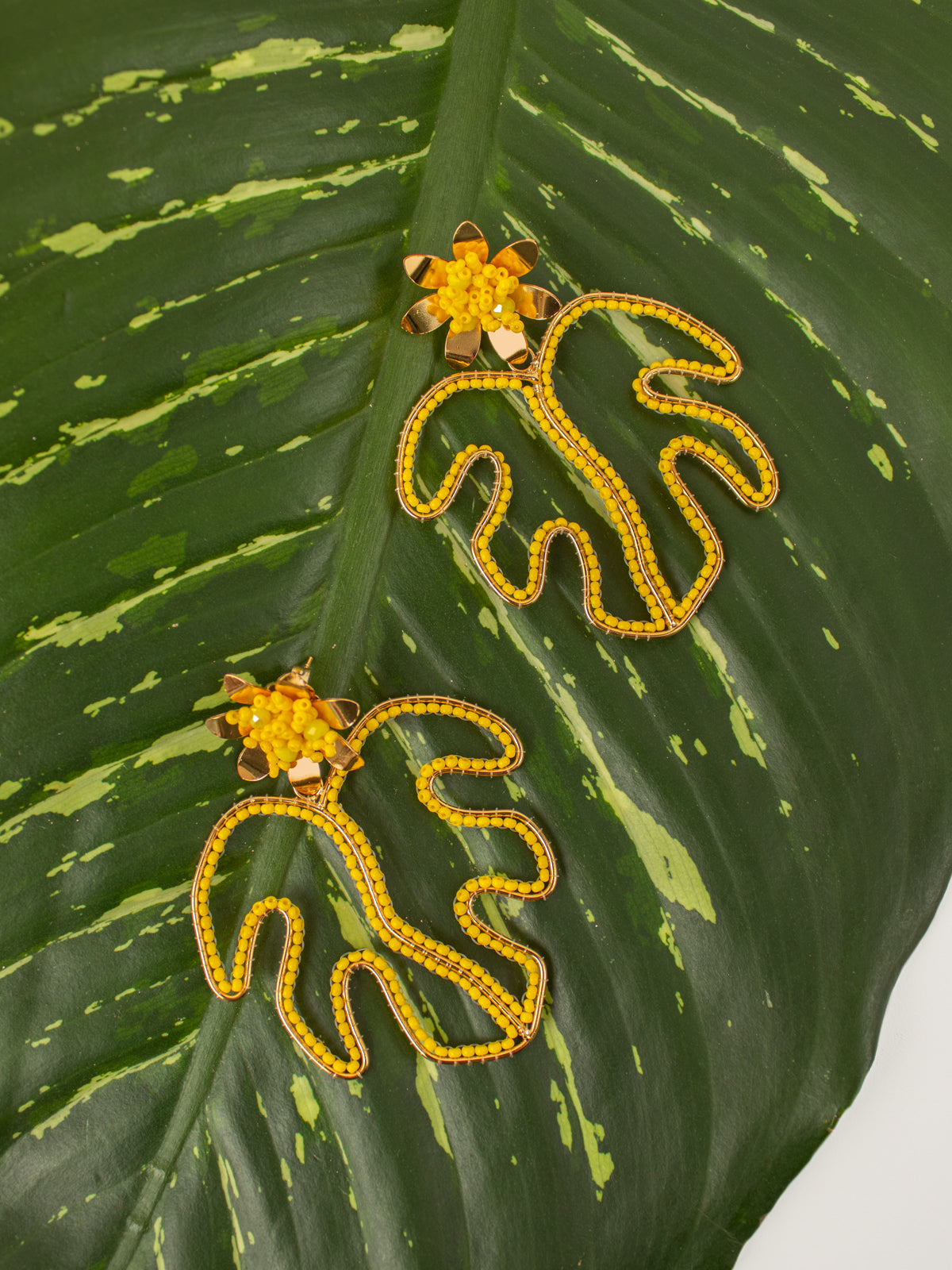 Aretes Mapa Hoja